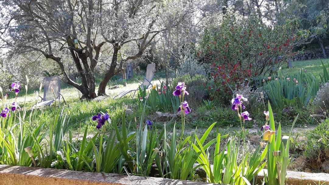 Loucabanon Var Draguignan Exterior foto